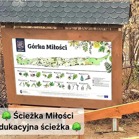 Ostello Rentumi Gryfino-noclegi Pracownicze *
