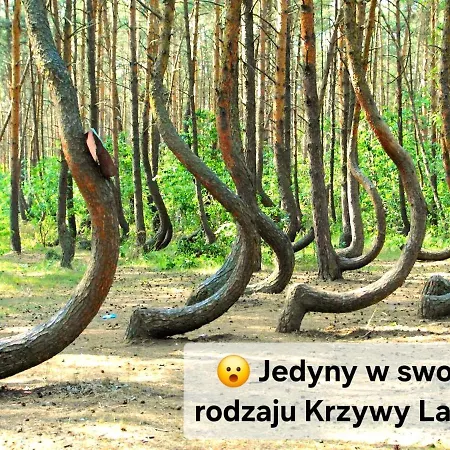 Ostello Rentumi Gryfino-noclegi Pracownicze *