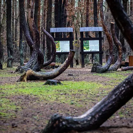 Rentumi Gryfino-noclegi Pracownicze Hostel *