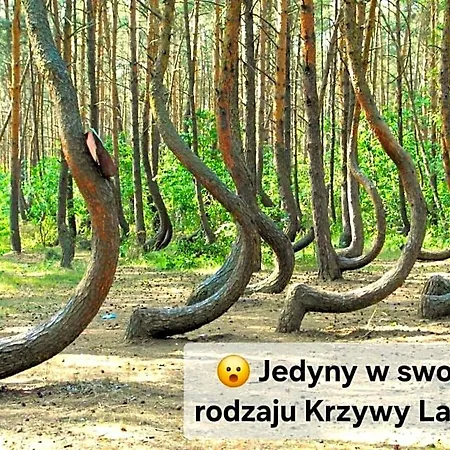 Rentumi Gryfino-noclegi Turystyczne I Pracownicze Gryfino