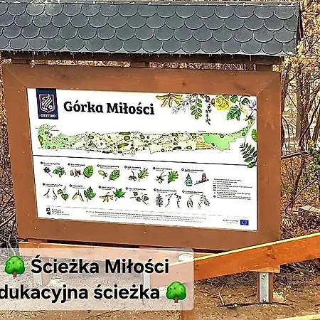 Rentumi Gryfino-noclegi Turystyczne I Pracownicze Albergue