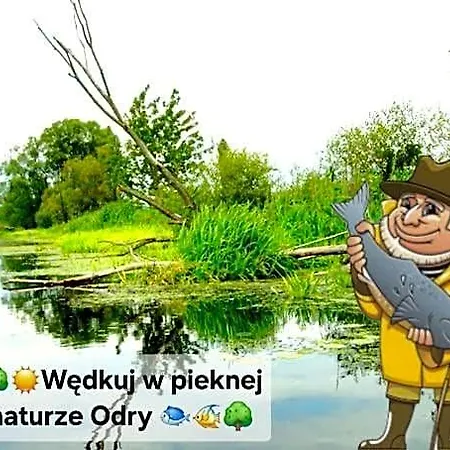 Rentumi Gryfino-noclegi Turystyczne I Pracownicze Albergue *