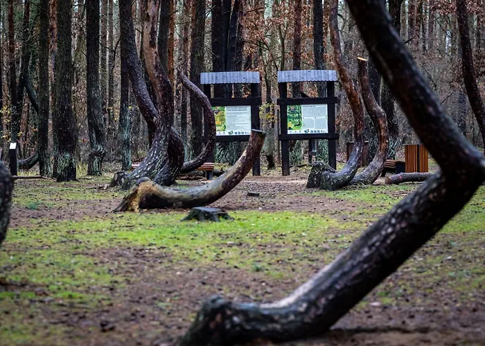 Rentumi Gryfino-noclegi Turystyczne I Pracownicze Hostal *